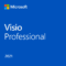 2021VisioProfessional