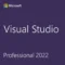 Visual Studio Professional 2022 1